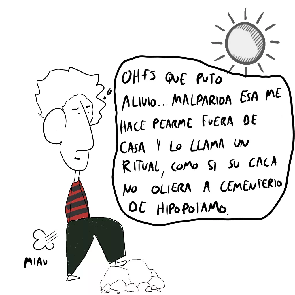 el novelista